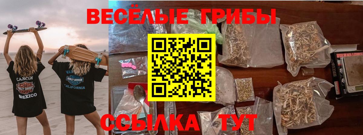 Галлюциногенные грибы Cubensis Волоколамск