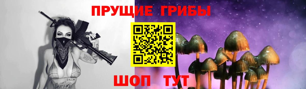 Галлюциногенные грибы мухоморы  Псилоцибиновые грибы GOLDEN TEACHER  Волоколамск  где найти наркотики  Вход с VPN 